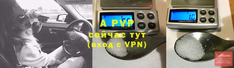 Alpha PVP СК КРИС  Вологда 